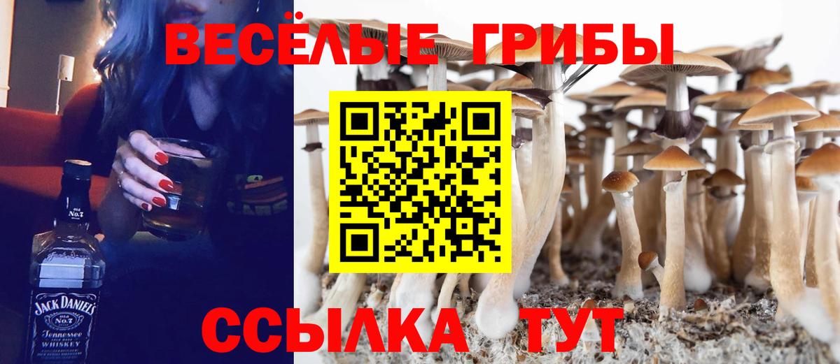 Псилоцибиновые грибы прущие грибы Темрюк