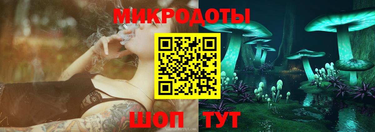 Темрюк  Галлюциногенные грибы Psilocybe  Вход с VPN 